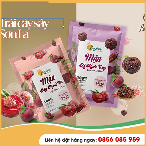 Trái cây sấy Sơn La